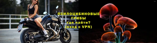 дживик Нефтегорск