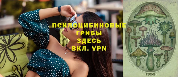 стаф Нефтекумск