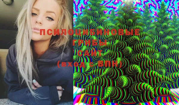 альфа пвп Нея