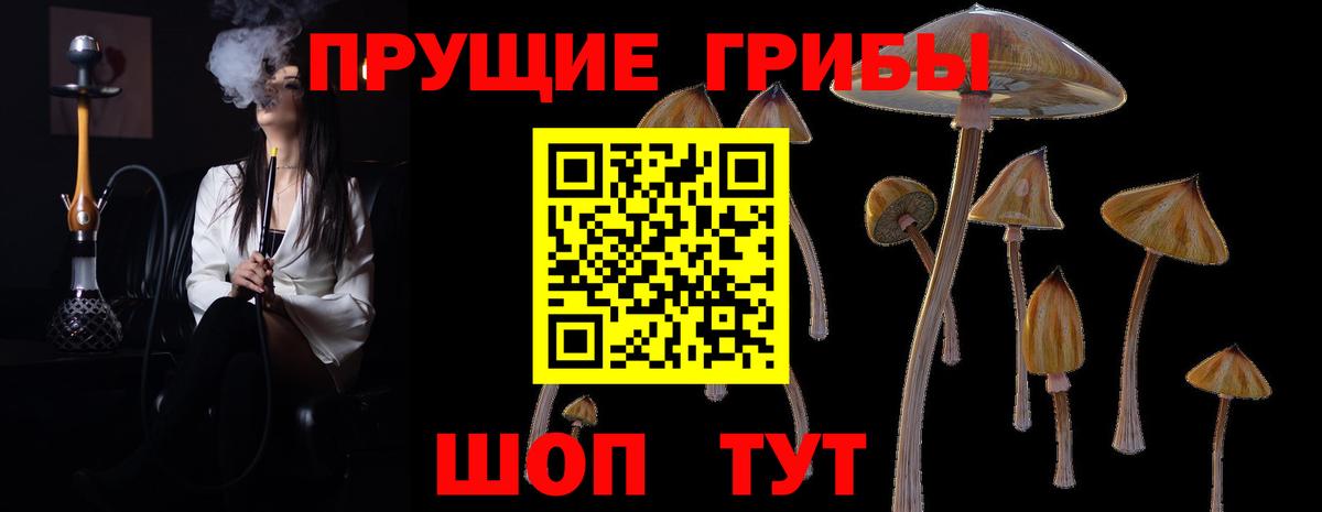 Краснокаменск  Галлюциногенные грибы Cubensis  Вход с VPN  Галлюциногенные грибы Psilocybine cubensis 